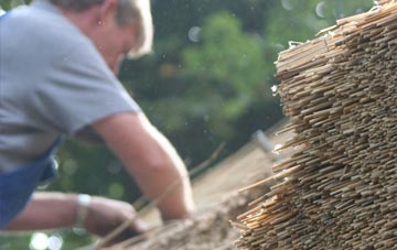 professional Gilberdyke thatchers